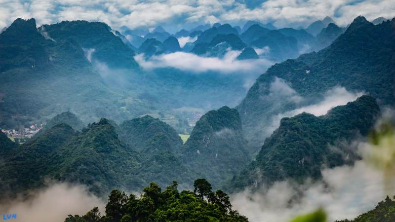 YY体育集团是什么来头？一文说清它的业务范围与行业定位